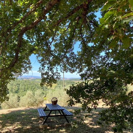 La Casina Della Quercia, Your Tuscan Oak Tree House Osteria Delle Noci ภายนอก รูปภาพ