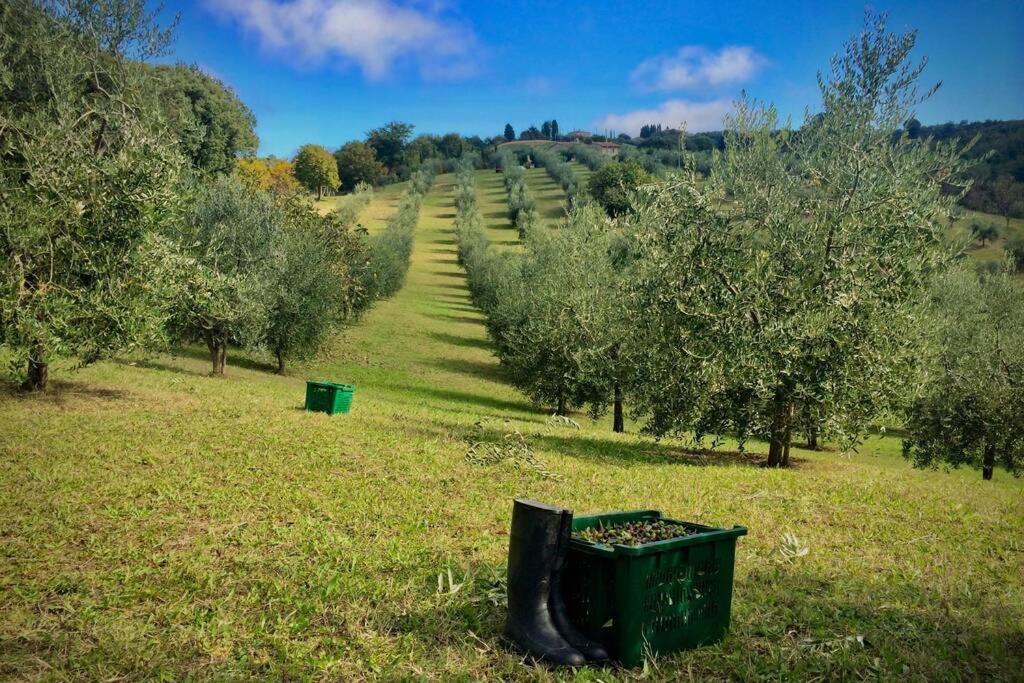 La Casina Della Quercia, Your Tuscan Oak Tree House Osteria Delle Noci ภายนอก รูปภาพ