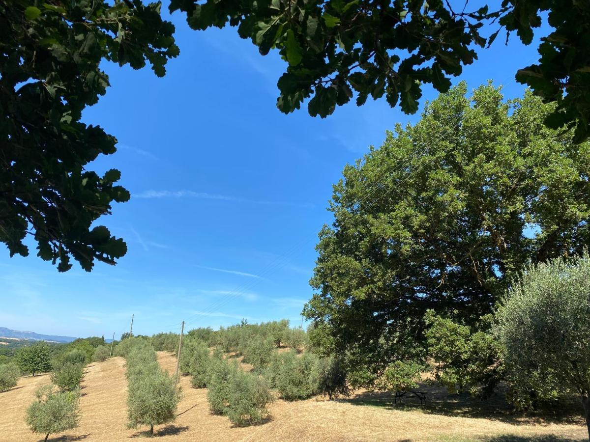 La Casina Della Quercia, Your Tuscan Oak Tree House Osteria Delle Noci ภายนอก รูปภาพ
